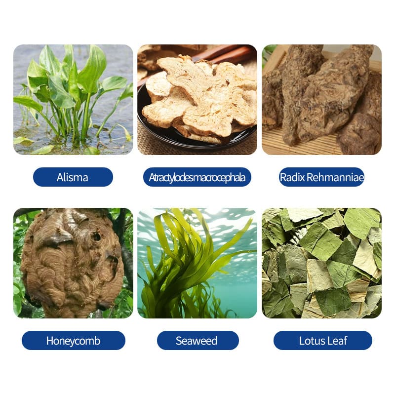 Abdominal Discomfort An External Patch That Makes Skin More Beautiful 7