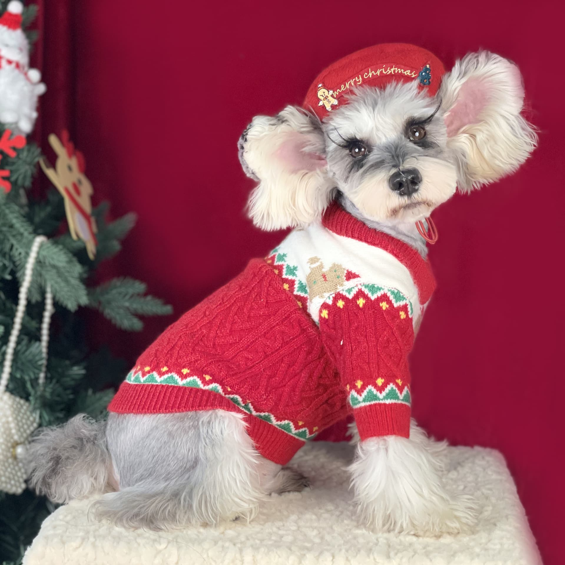 Christmas-style Hat For Pets 5