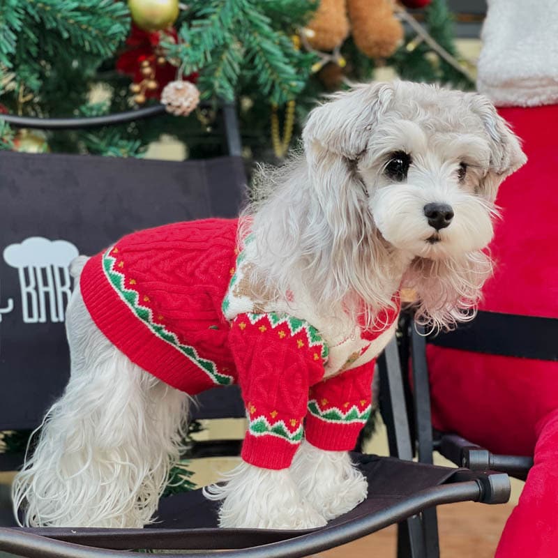 Christmas-style Hat For Pets 6