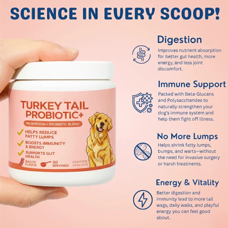 Pet Turkey Tail Mushroom Powder 4