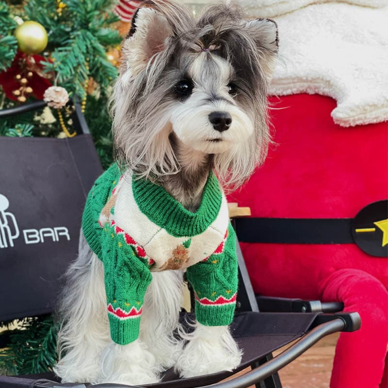 Christmas-style Hat For Pets 3