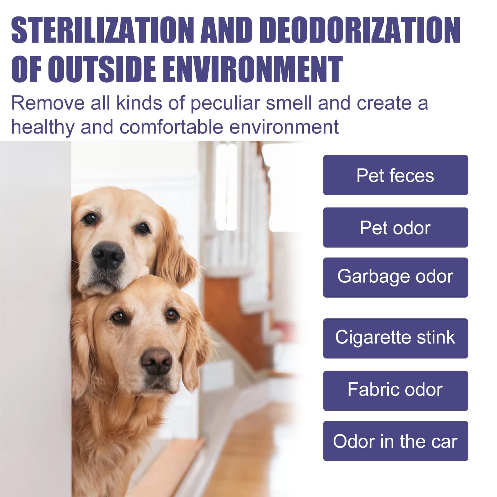 Pet Cat And Dog Odor-eliminating Air Freshener Spray 5