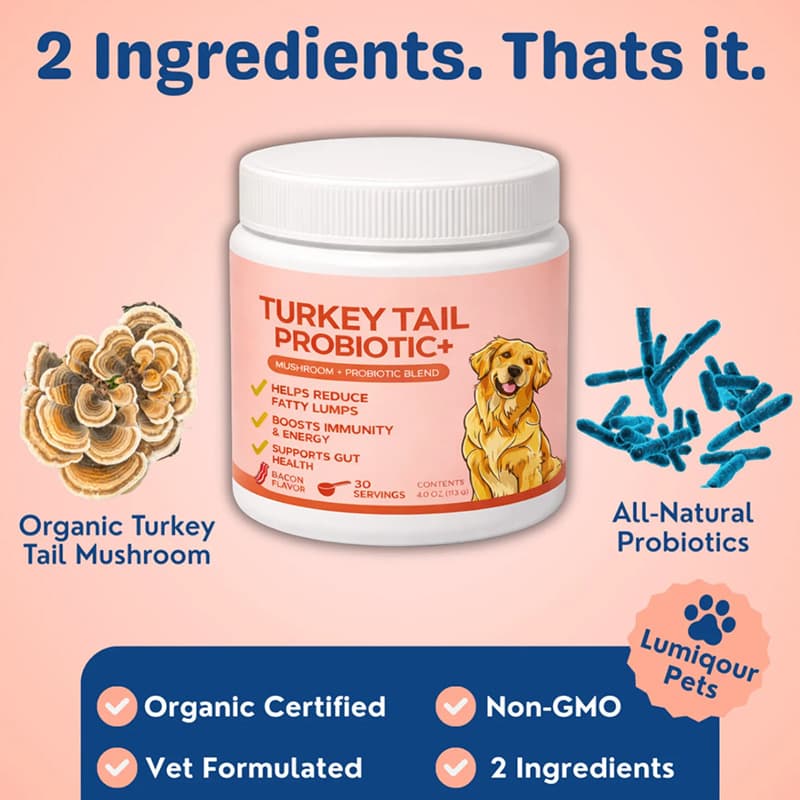 Pet Turkey Tail Mushroom Powder 3