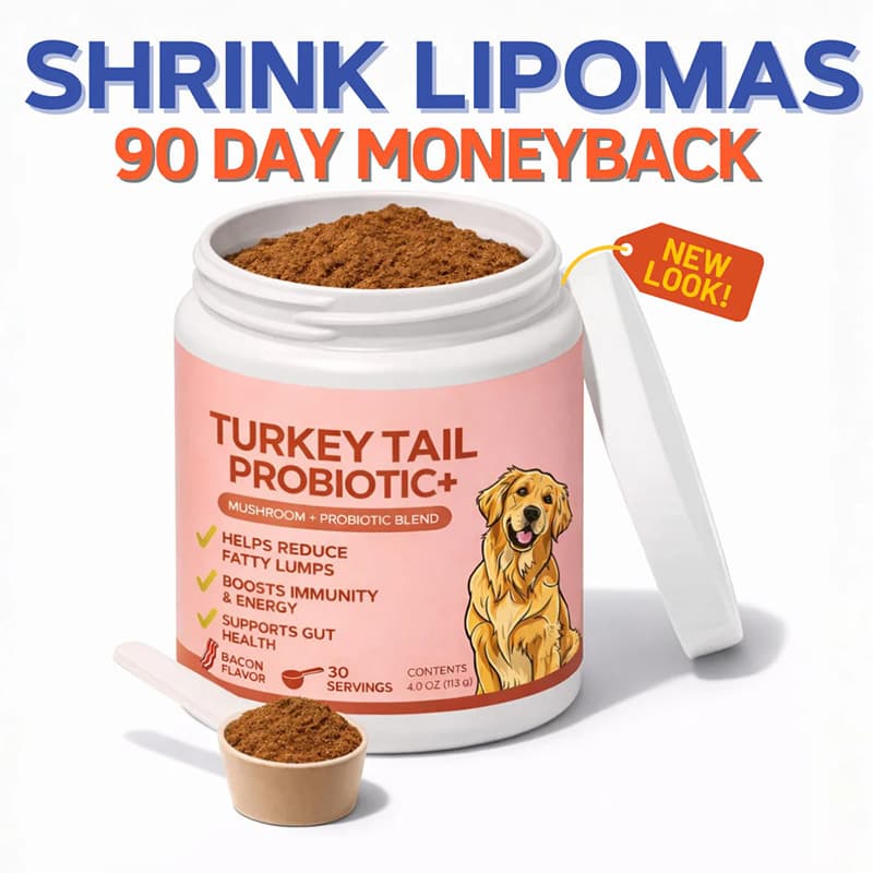 Pet Turkey Tail Mushroom Powder 2