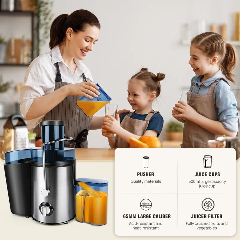 Juicer Machine, Feed Chute For Fruits, Vegetables & Citrus, 2-Speed Centrifugal Juice Extractor, 500ML Capacity 7