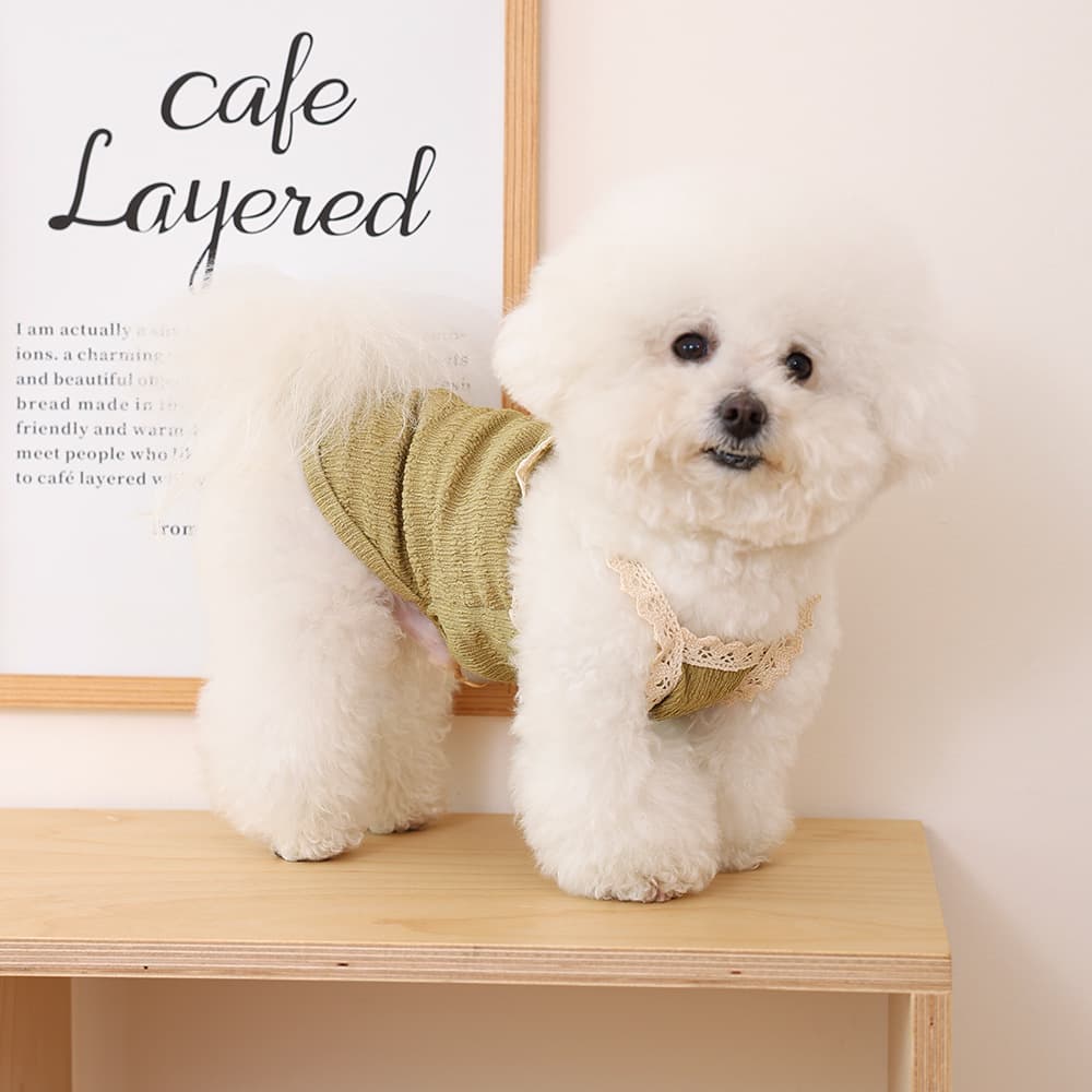 Dog And Cat Small Puppy Pet Clothing 6