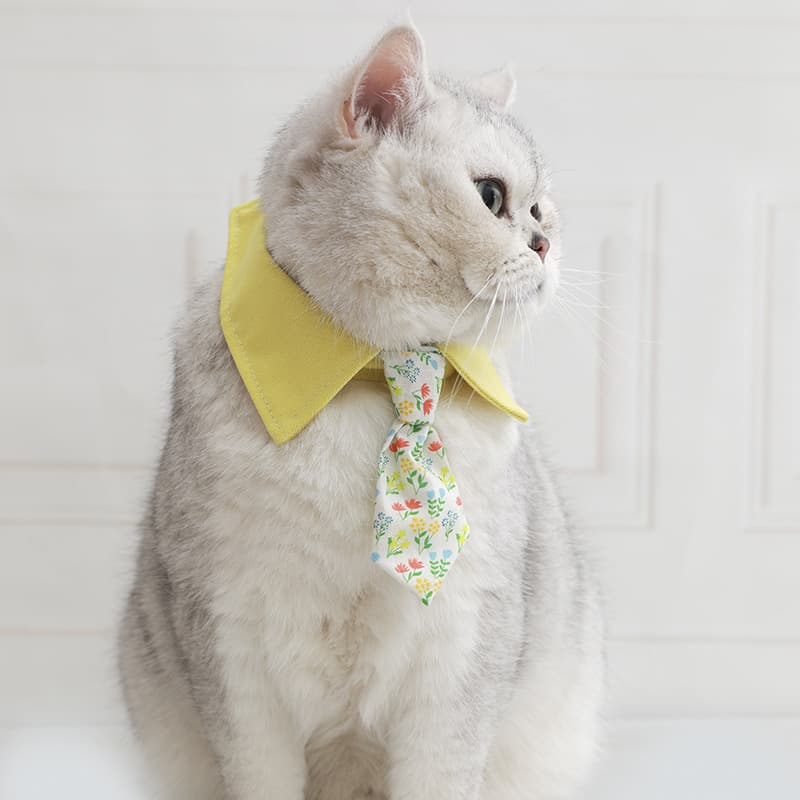 Cute Pet Cat Bow Tie Collar In Multiple Styles 7