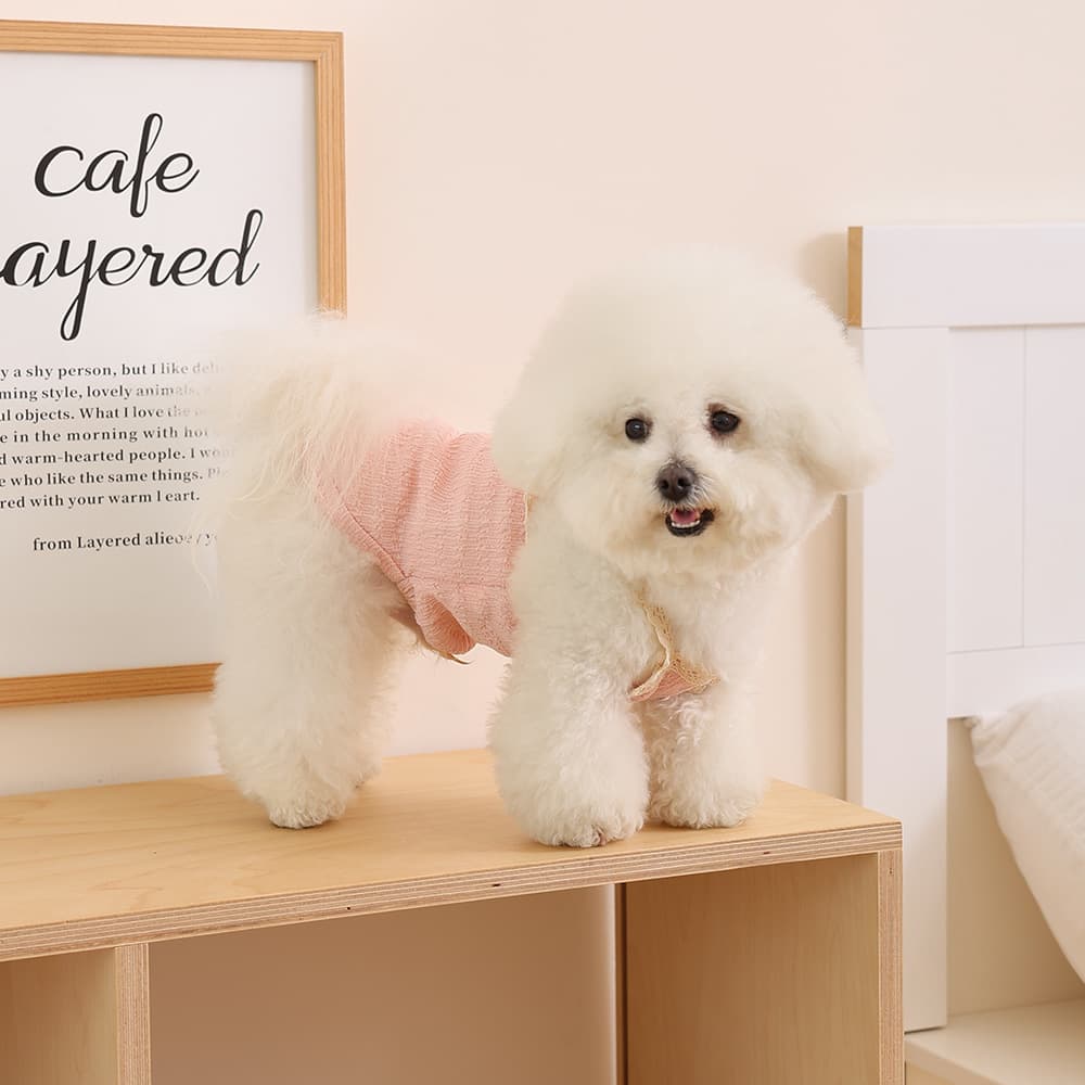 Dog And Cat Small Puppy Pet Clothing 2