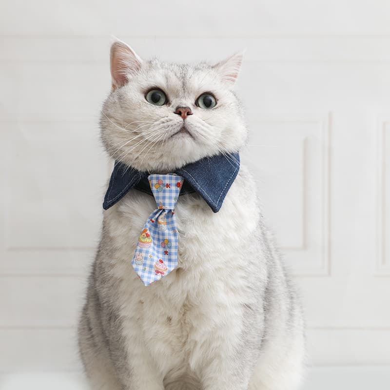 Cute Pet Cat Bow Tie Collar In Multiple Styles 3