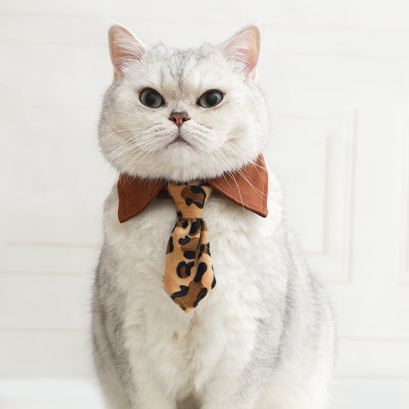 Cute Pet Cat Bow Tie Collar In Multiple Styles 8