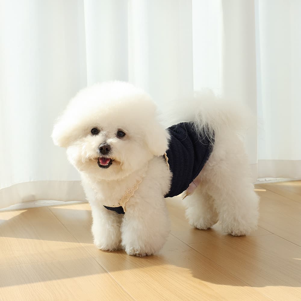 Dog And Cat Small Puppy Pet Clothing 3