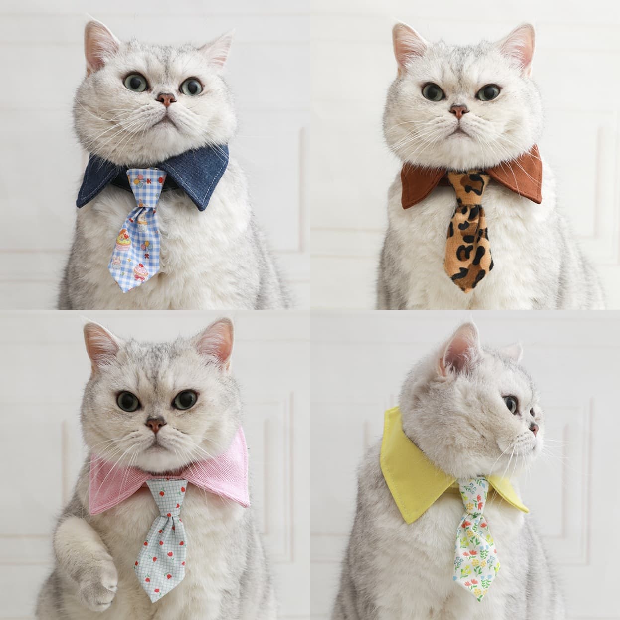 Cute Pet Cat Bow Tie Collar In Multiple Styles 6
