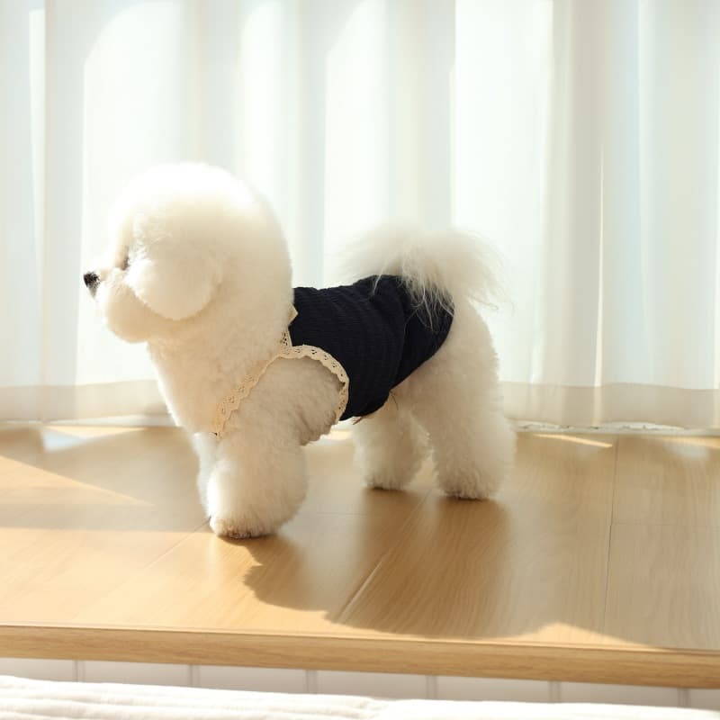 Dog And Cat Small Puppy Pet Clothing 5