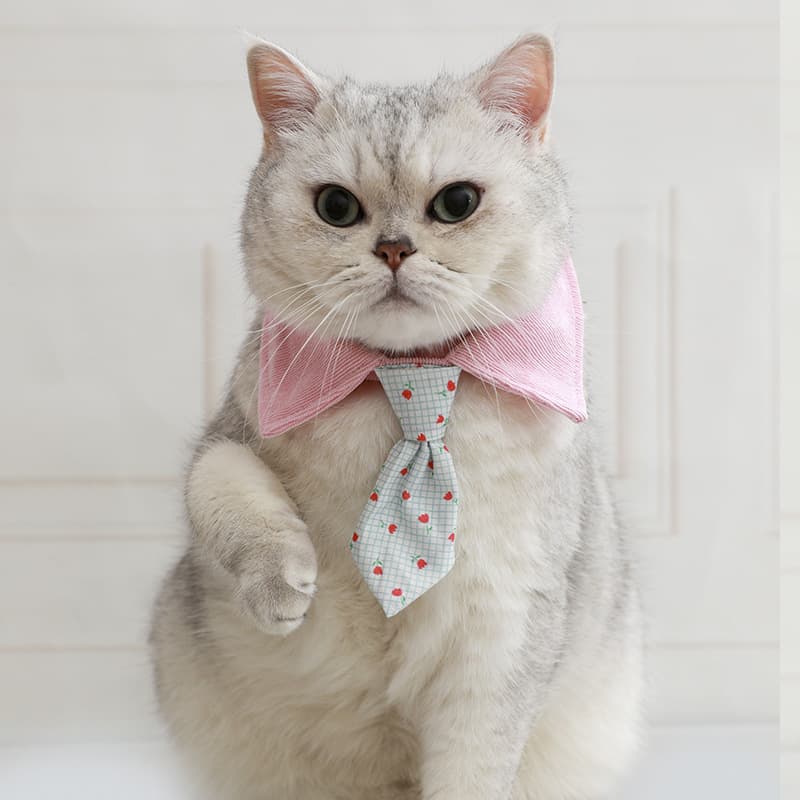 Cute Pet Cat Bow Tie Collar In Multiple Styles 4